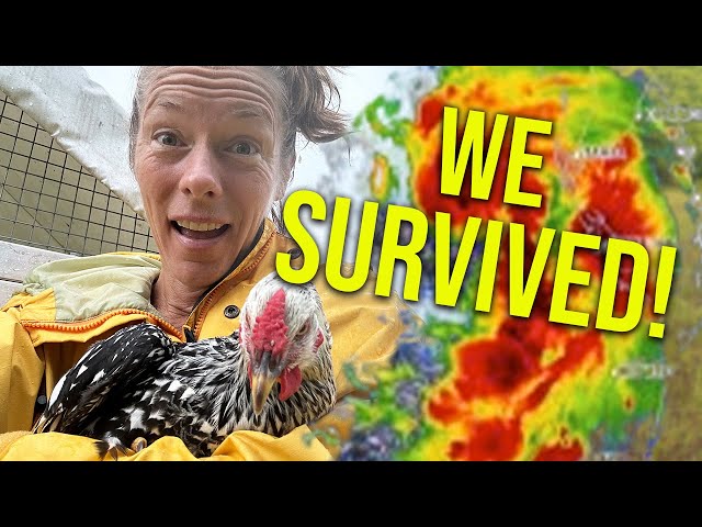 We survived! Hurricane damage report