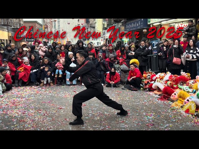 Ng Ying Kuen (5 Animal Form) performed by Sifu Cyrus Chau (Chinatown, NYC - 2-8-25)