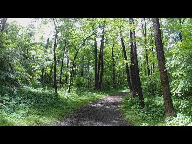 A 3D Walk in Rocky Run Stream Valley Trail Park