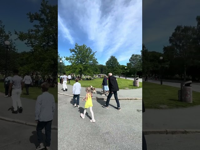 Midsommar 2024 i Slottskogen Göteborg