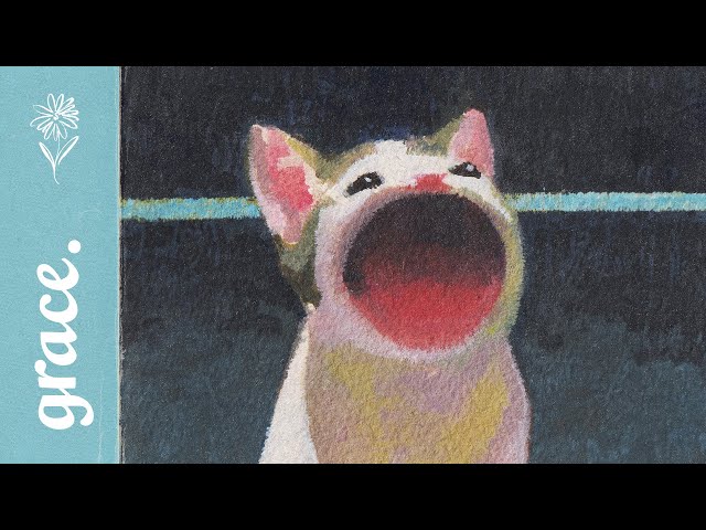 Cat lover playlist ~ 24/7 Chill Lofi Radio /ᐠ˵- ⩊ -˵マ