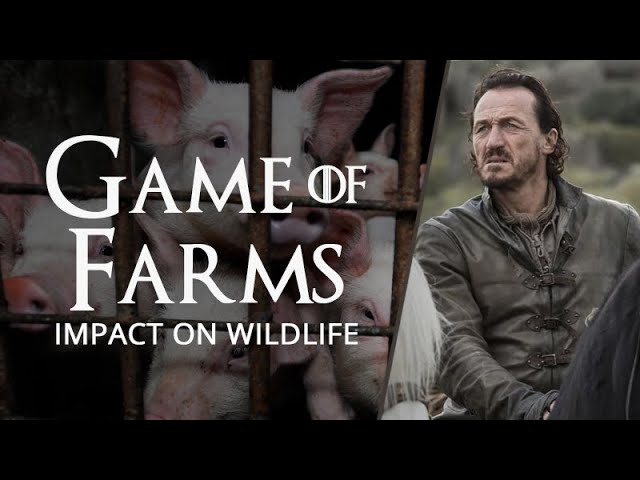 Game of Farms: Ep.1 - Impact on Wildlife