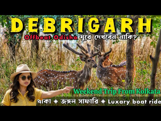 Debrigarh Wildlife Sanctuary - Jungle Safari, Hirakud Cruise & Stay | Complete Travel Guide