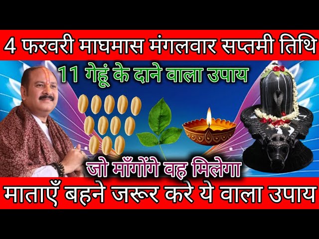 4 फरवरी माघमास मंगलवार सप्तमी तिथि को 11 गेहूं के दाने वाला उपाय जरूर करे || Pradeep Ji Mishra