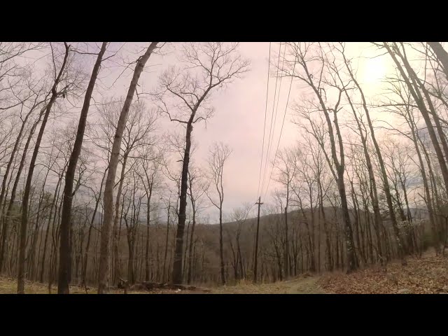 4-9-24 just out exploring hiking helicopters porcupines Appalachia mountains Maryland