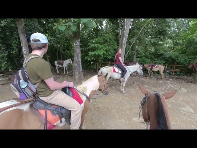 Riding Horses Through Costa Rica in 3D VR