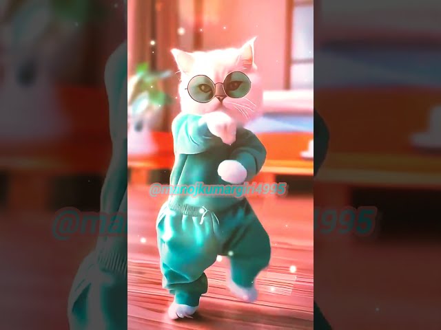 Dancing cat💃🙀#viralvideo #shorts