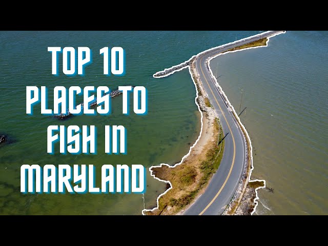 Top 10 Places To Fish in Maryland | Chesapeake Bay Blueprint