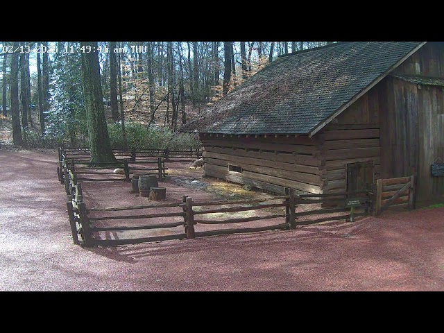 Atlanta History Center Live Goat Cam