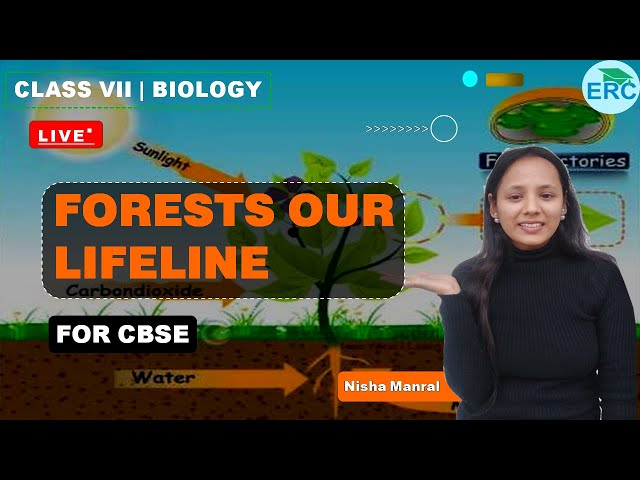 PART 1 FORESTS OUR LIFELINE  | NCERT EXEMPLAR |  | BIOLOGY | CLASS VII | NM MA'AM