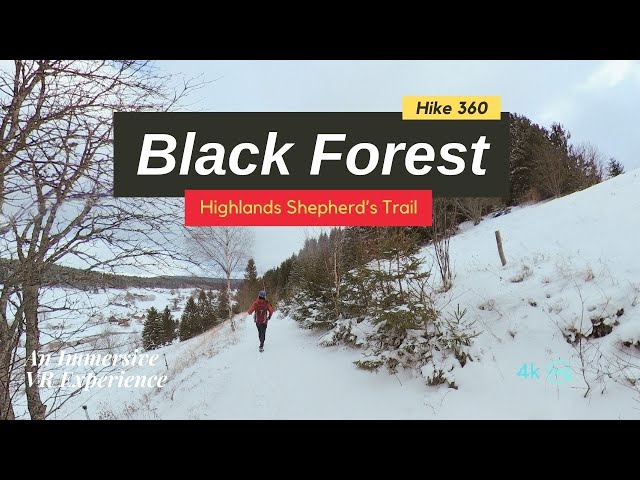 Winter Hiking at Black Forest Highlands Shepherd’s Trail, Germany