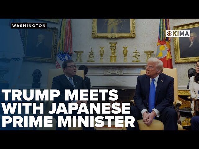 Trump, Japanese Prime Minister press conference at White House