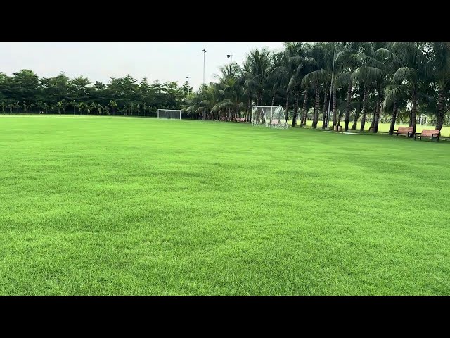 Beautiful Large Open Green Field for Play | Royalty free stock video footage - No copyright | 4K