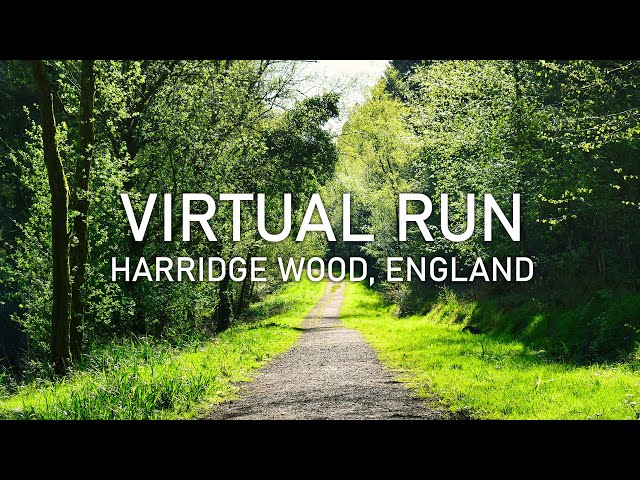 Virtual Run | Harridge Wood Nature Reserve, England | Treadmill Running Scenery