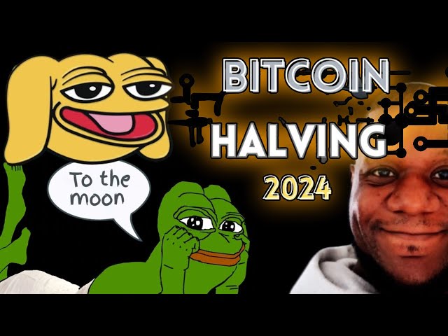 This Memecoin Will Follow *Pepe* To Billions After BTC Halving 2024