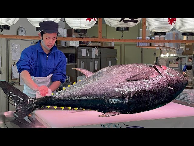 GIANT BLUEFIN TUNA cutting Master | World’s Sharpest Tuna Knife. Japan Street Food