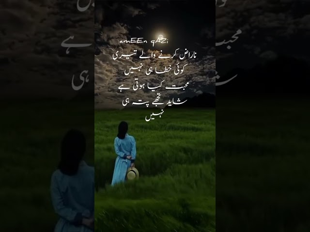 محبت کیا ہوتی ہے شاید تجھے پتہ نہیں #urdupoety #poetry #urdupoetry #aameenwrites