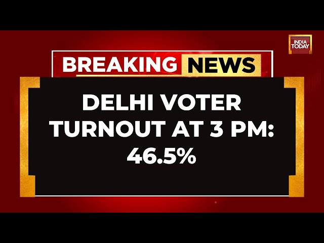 Delhi Assembly Elections: Voter Turnout At 46.5% By 3 PM, Mustafabad Leads At 56.12% | India Today