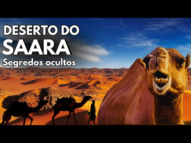 DESERTO DO SAARA: Os Segredos Ocultos do Maior Deserto do Mundo - Documentário animais