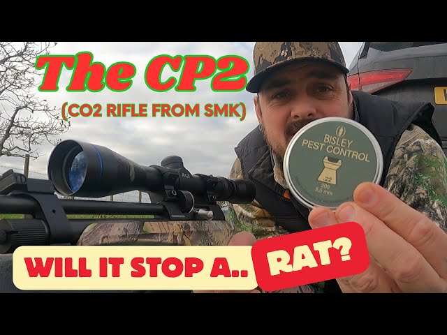 SMK CP2 test! | can a Co2 powered rifle stop a rat? | Final pellet decision