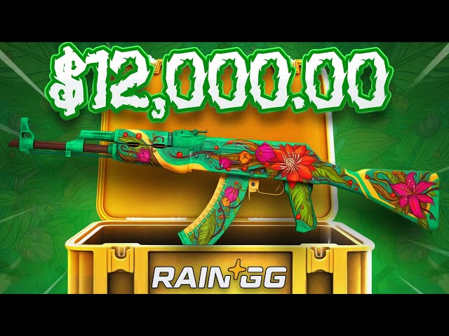 THE BEST NEW CS2 / CSGO GAMBLING SITE OF 2024!?