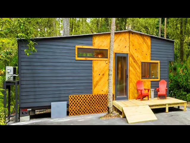 Possibly The Coziest Palm Tree Tiny House near The Hillsborough State Park