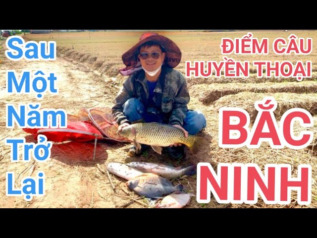 TRỞ LẠI ĐIỂM CÂU HUYỀN THOẠI Ở LƯƠNG TÀI NINH(Sông Thái Bình)#câucásông#fishing