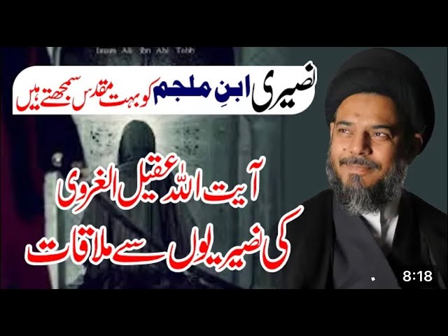 Nusairi Say Mulaqat | Allama Aqeel ul Gharavi 2023 #aqeelulgharavi