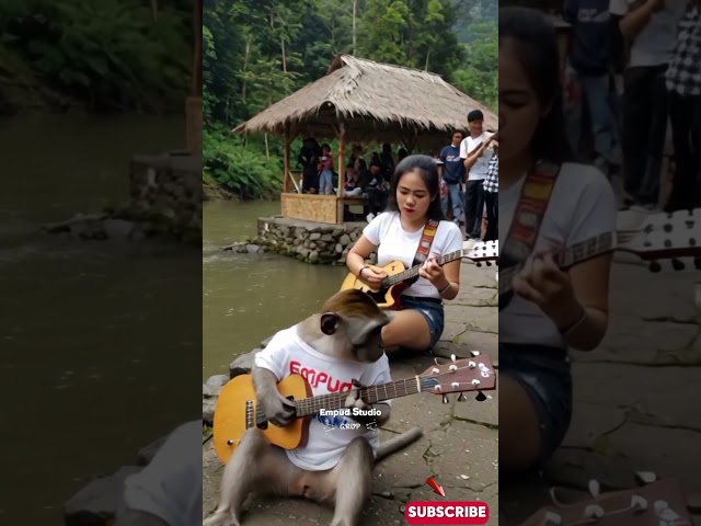 Viral Monyet Main Gitar di Wisata Russia #empudstudiogrup #empudstudio #shorts