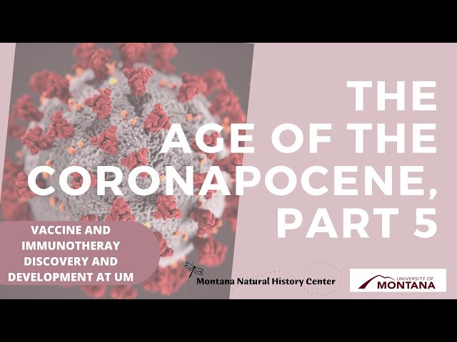 The Age of the Coronapocene, Part 5