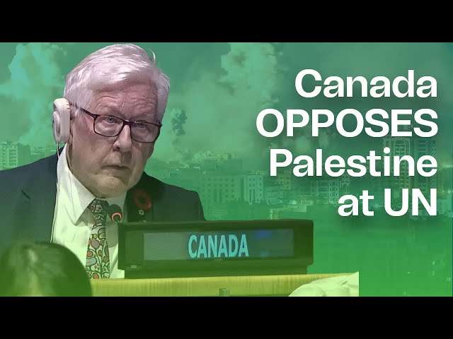 Canada has voted against Palestine 150 times at UN in past decade