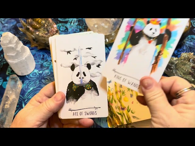 Way of the Panda Tarot: Wonder Panda Edition - Pocket Edition created by Kimberly Tsan