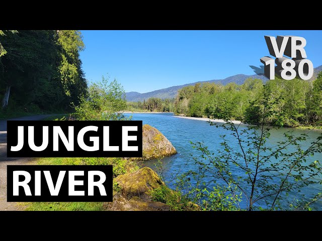 VR180 - Jungle River