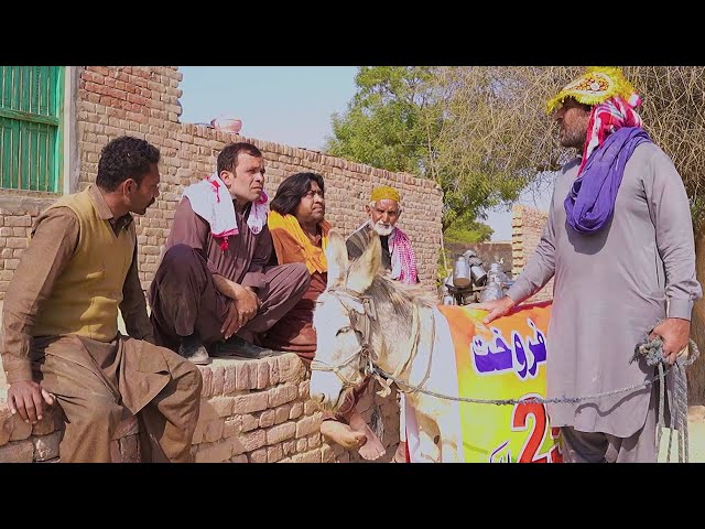 Rana Ijaz New Video | Donkey For Sale | Standup Comedy By Rana Ijaz #comedymovie #funny