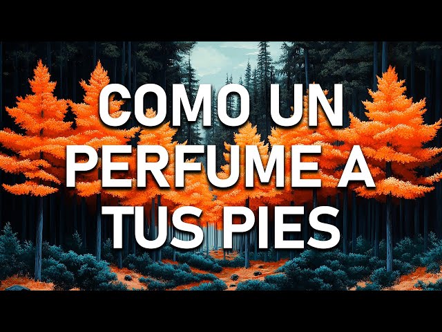 PERFUME A TUS PIES - MIX ALABANZAS PODEROSAS QUE DAN FUERZAS CON LETRA - HIMNOS 2024