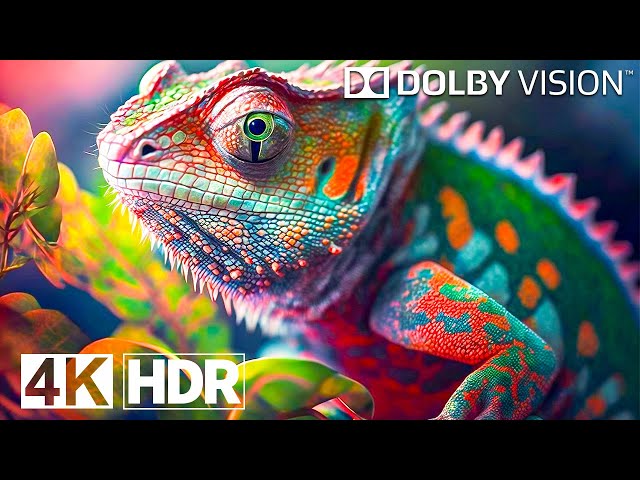 Breathtaking (4K Video) ULTRA HD - 4K HDR 120 FPS Dolby Vision