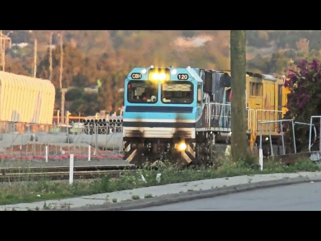 CBH Aurizon Grain Train #railway #trainspotting #railfanning #trainspotter #indianrailways #railfans