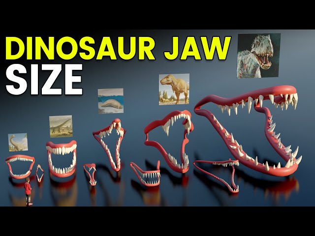 Dinosaur Jaw Size & Teeth Count Comparison | T-REX Vs GIGANOTOSAURUS