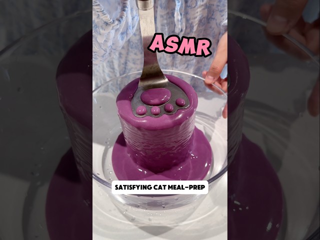 Satisfying cat meal-prep 😺✨️ #cat #mealprep #ASMR #pet #satisfying #shorts