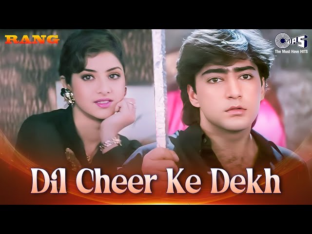 Dil Cheer Ke Dekh Tera Hi Naam Hoga | Rang | Divya Bharti | Kumar Sanu | 90's Hindi Song | Love Song