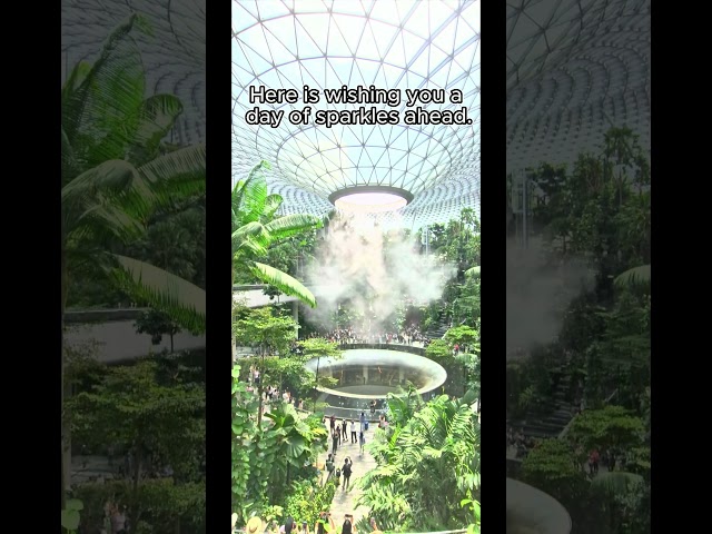 Jewel Rain Vortex | Singapore 🇸🇬 #travel #airport #vortex #waterfall #singapore