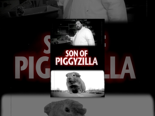 Son of Piggyzilla | Short Horror (P1)