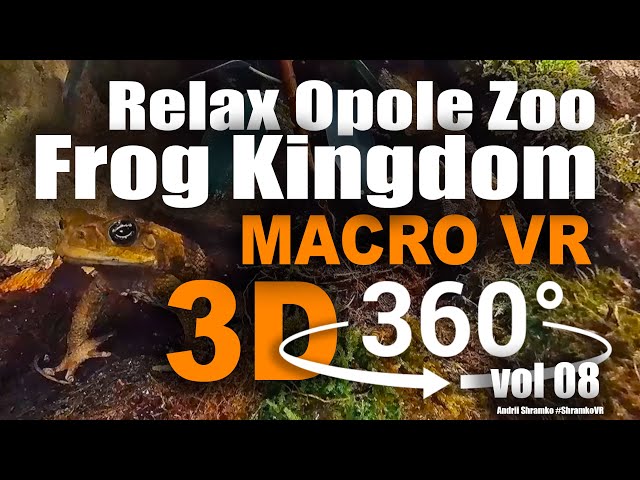 Opole Zoo Frog Kingdom macro 3d 360 video, tropical toads and frogs, birds and turtles tree by Shram