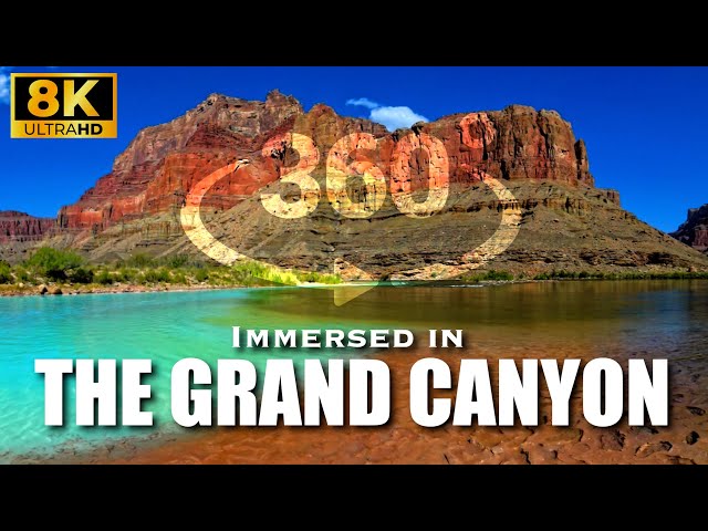 IMMERSED IN THE GRAND CANYON - full length 8K VR360 documentary #vr360