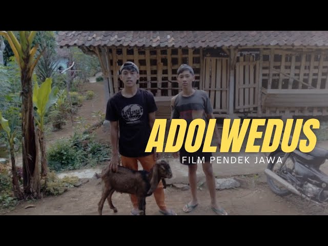 ADOL WEDUS || film pendek lucu jawa