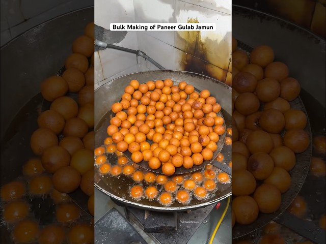 Bulk Making of Paneer Gulab Jamun😍❤️ #indianstreetfood #shortsfeed #food #trending #shorts