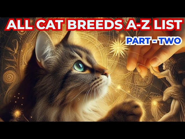 Cat Breeds Guide A - Z  List ( PART - 2) #catbreeds #cats