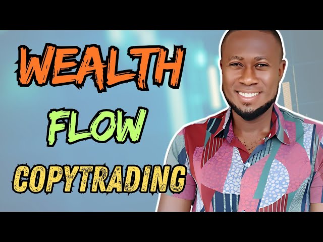 WealthFlow Copy Trading Strategies for Beginner Traders