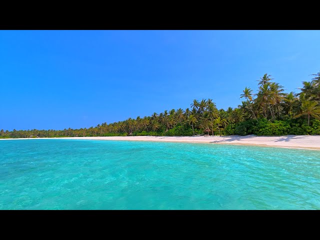 🏝 Beach View: 12 Hours of Maldives Ambience & Soft Ocean Sounds