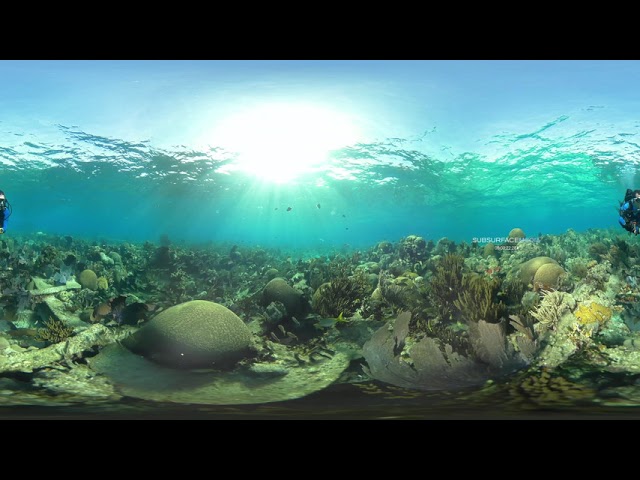 360VR Underwater Florida Demo #1 6K